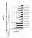 Fig. 45 - Reduced size self-delivering RNAi compounds