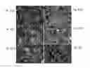 Fig. 02 - SEQUENTIAL/SIMULTANEOUS MULTI-METALIZED NANOCOMPOSITES (S2M2N)
