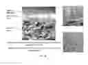 Fig. 32 - Styrene-siloxane triblock copolymers as membranes for selective transport of alcohols and other organic compounds in aqueous mixtures