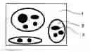 Fig. 01 - Thermoplastic resin composition and method for producing same