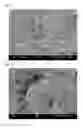 Fig. 04 - Thermoplastic resin composition and method for producing same