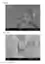 Fig. 06 - Thermoplastic resin composition and method for producing same