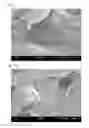 Fig. 07 - Thermoplastic resin composition and method for producing same