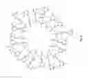 Fig. 05 - Triazine compounds containing phosphorous as flame retardants