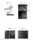 Fig. 04 - Surface-Selective Carbon Nanotube Deposition via Polymer-Mediated Assembly