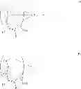 Fig. 03 - Supported nonmetallocene catalysts, preparation and use thereof