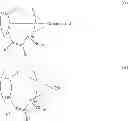 Fig. 46 - Supported nonmetallocene catalysts, preparation and use thereof