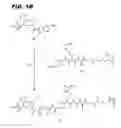Fig. 03 - Immunoconjugates, compositions for making them, and methods of making and use