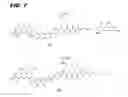Fig. 19 - Immunoconjugates, compositions for making them, and methods of making and use