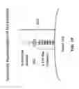 Fig. 07 - Anti-DLL3 antibodies