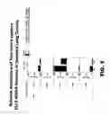 Fig. 13 - Anti-DLL3 antibodies