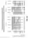 Fig. 16 - Anti-DLL3 antibodies