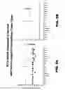 Fig. 19 - Anti-DLL3 antibodies
