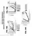 Fig. 50 - Anti-DLL3 antibodies