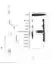 Fig. 06 - PSCA: PROSTATE STEM CELL ANTIGEN AND USES THEREOF