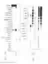 Fig. 07 - PSCA: PROSTATE STEM CELL ANTIGEN AND USES THEREOF