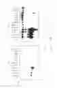 Fig. 11 - PSCA: PROSTATE STEM CELL ANTIGEN AND USES THEREOF