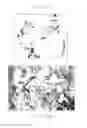 Fig. 14 - PSCA: PROSTATE STEM CELL ANTIGEN AND USES THEREOF