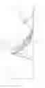 Fig. 21 - PSCA: PROSTATE STEM CELL ANTIGEN AND USES THEREOF