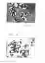 Fig. 28 - PSCA: PROSTATE STEM CELL ANTIGEN AND USES THEREOF