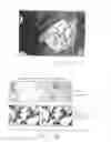 Fig. 30 - PSCA: PROSTATE STEM CELL ANTIGEN AND USES THEREOF