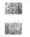 Fig. 32 - PSCA: PROSTATE STEM CELL ANTIGEN AND USES THEREOF