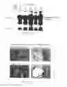 Fig. 35 - PSCA: PROSTATE STEM CELL ANTIGEN AND USES THEREOF