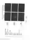 Fig. 43 - PSCA: PROSTATE STEM CELL ANTIGEN AND USES THEREOF