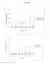 Fig. 52 - PSCA: PROSTATE STEM CELL ANTIGEN AND USES THEREOF