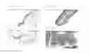 Fig. 59 - PSCA: PROSTATE STEM CELL ANTIGEN AND USES THEREOF