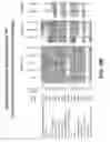 Fig. 15 - Anti-DLL3 antibody drug conjugates