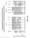 Fig. 16 - Anti-DLL3 antibody drug conjugates