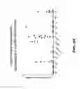Fig. 20 - Anti-DLL3 antibody drug conjugates