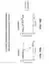 Fig. 49 - Anti-DLL3 antibody drug conjugates