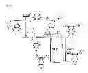 Fig. 02 - Cyclic compound, method for producing cyclic compound, and method for modifying biological molecule