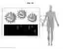 Fig. 14 - ARTIFICIAL LIPID-POLYMER-DNA COMPLEX, BIOIMAGING AGENT AND PREPARATION METHOD THEREOF