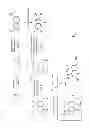 Fig. 02 - Compounds of 3-(5-substituted Oxy-2, 4-dinitrophenyl)-2-oxo-propionic acid ester, synthesis and applications thereof