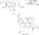 Fig. 31 - Compounds of 3-(5-substituted Oxy-2, 4-dinitrophenyl)-2-oxo-propionic acid ester, synthesis and applications thereof