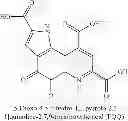 Fig. 33 - Compounds of 3-(5-substituted Oxy-2, 4-dinitrophenyl)-2-oxo-propionic acid ester, synthesis and applications thereof