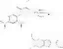 Fig. 37 - Compounds of 3-(5-substituted Oxy-2, 4-dinitrophenyl)-2-oxo-propionic acid ester, synthesis and applications thereof