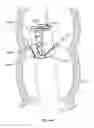Fig. 167 - Circuit Board Assembly of A Multiple Viewing Elements Endoscope