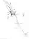 Fig. 02 - Auto lock for catheter handle