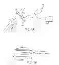 Fig. 02 - Nerve cuff for implantable electrode