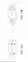 Fig. 09 - Intragastric device