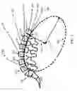 Fig. 03 - System for dynamically adjusting treatment angle under tension to accommodate variations in spinal morphology