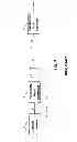 Fig. 02 - Radio remote control system for controlling vehicle functions of a motor vehicle