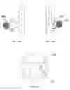 Fig. 03 - Skip-shift operations for automatic transmission systems