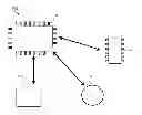 Fig. 01 - Systems and methods for automatically displaying patterns in biological monitoring data
