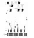 Fig. 03 - GRATUITY PROCESSING SYSTEM APPARATUS AND RELATED METHODS