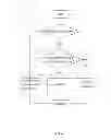 Fig. 09 - Apparatus and methods for rate-modulated plasticity in a neuron network